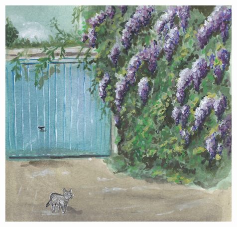 Katze am Blauregen von Blauregen zugewachsene Garage, mit einer grauen Katze