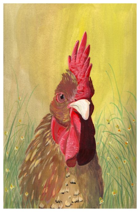 Hahn Kevin ein Kunstwerk von einem Hahn namens Kevin