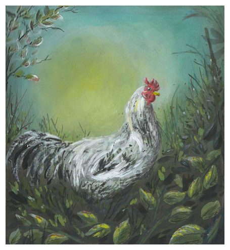 Hahn Wolke Weißer Hahn mit vereinzelt schwarzen Federn